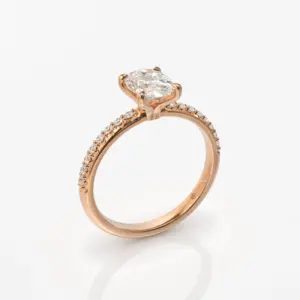 עומד רוז סופי