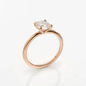 עומד רוז סופי