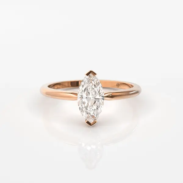 רוז שוכב סופי