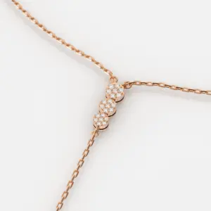 רוז תקריב סופי