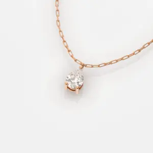 רוז תקריב סופי