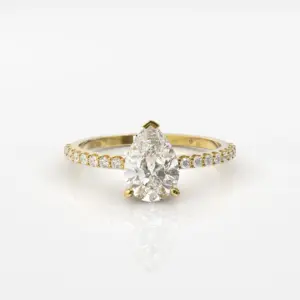 שוכב צהוב סופי