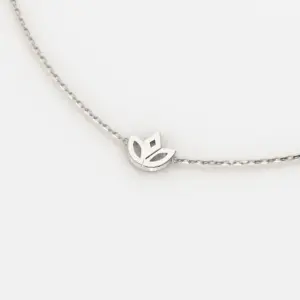 תקריב 1 סופי